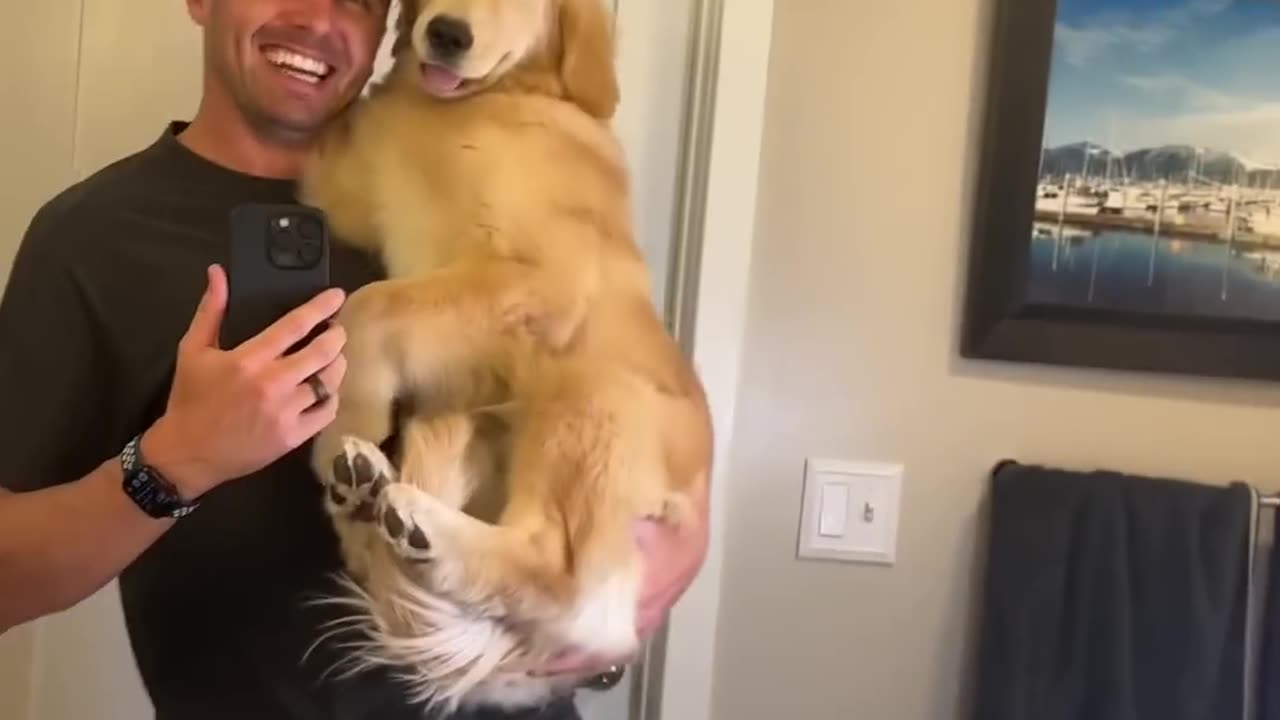 Puppy transforms into a teenager in 20 secondsgood dog