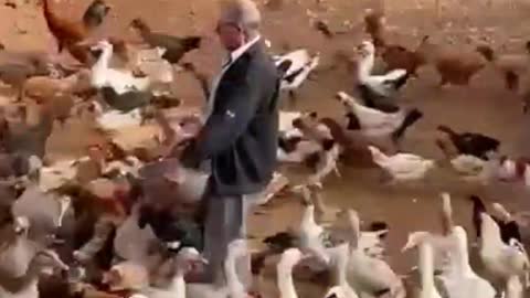 se não rodar não come