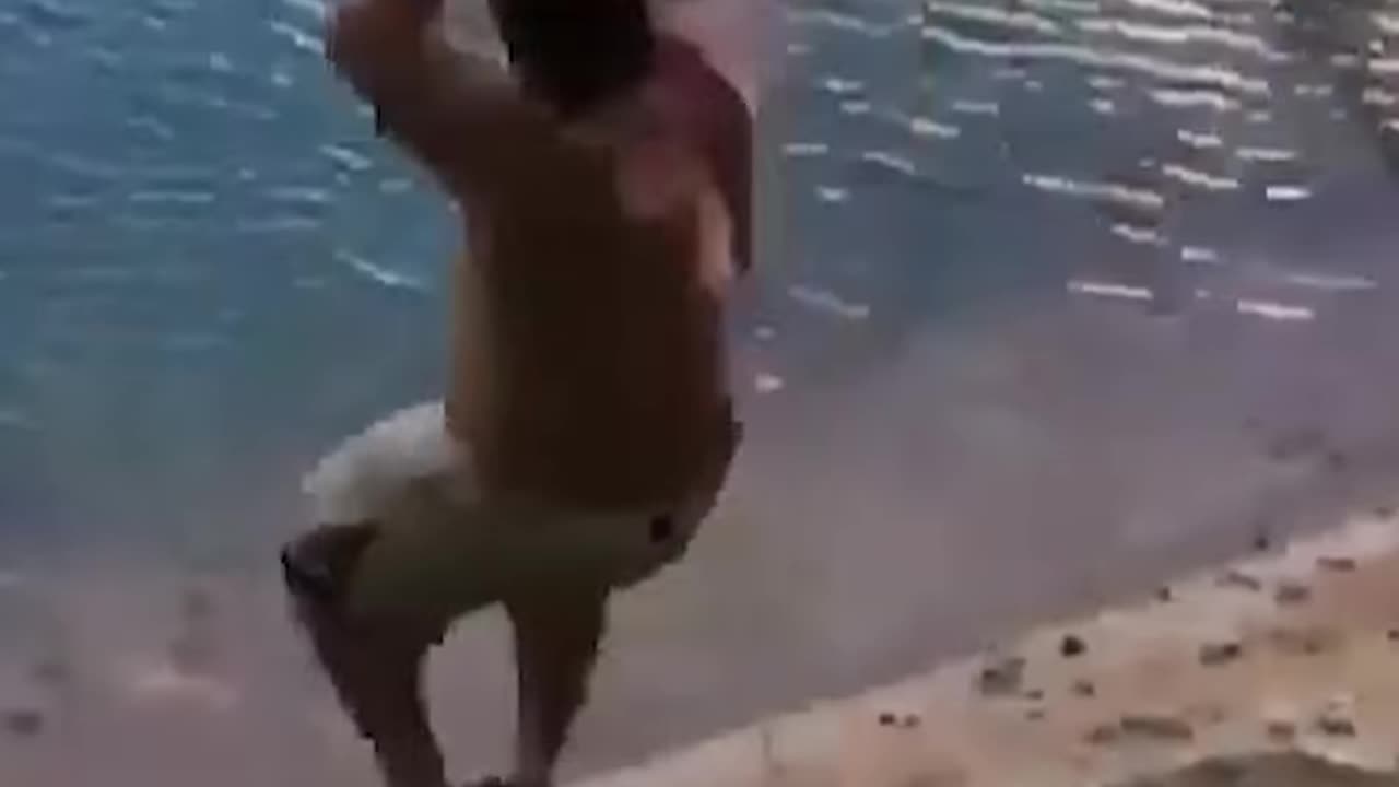 Hilarious Fails