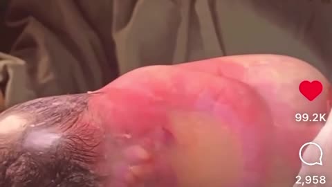 THE MIRACLE OF LIFE~ HONOR IT