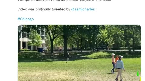 Chicago Gang Violence On The Beach Leads To Chase Through A Park Where Innocent Kids Were Playing