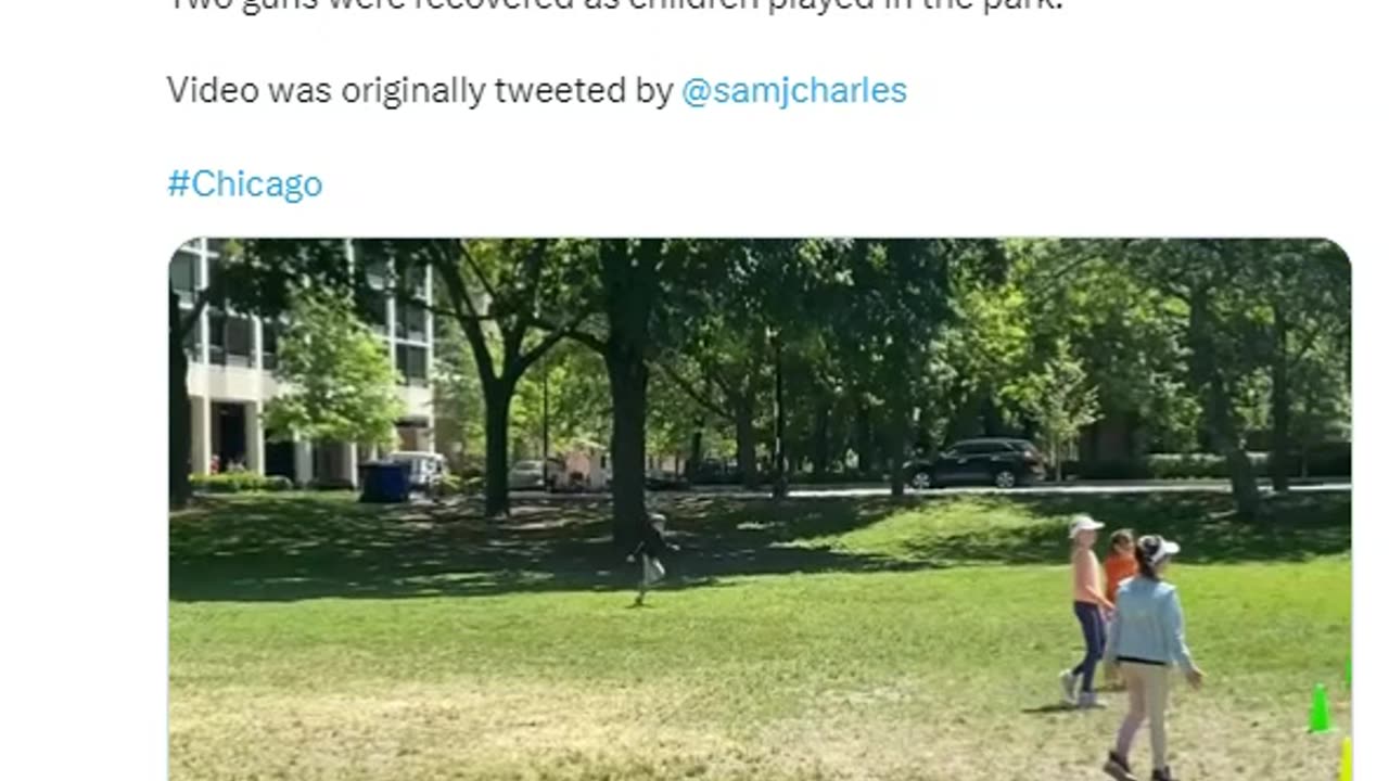 Chicago Gang Violence On The Beach Leads To Chase Through A Park Where Innocent Kids Were Playing