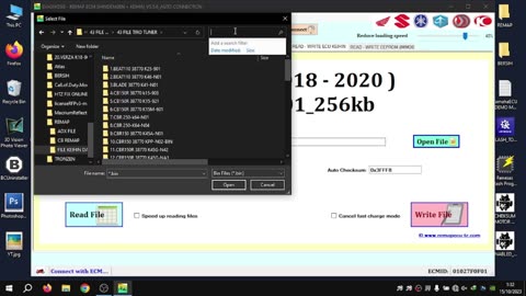 WRITE BIN ECU TRONZEN SOFTWARE