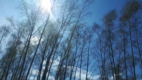 Himmel in Berlin am 19.4.2023 um 12:45 Uhr