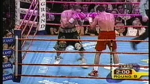 Oscar De La Hoya vs. Javier Castillejo