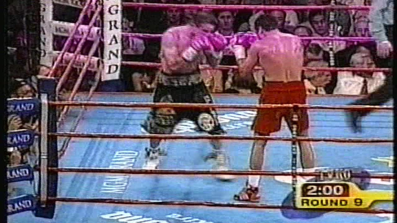 Oscar De La Hoya vs. Javier Castillejo