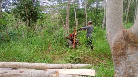 Tracktor to pull wood from the abyss