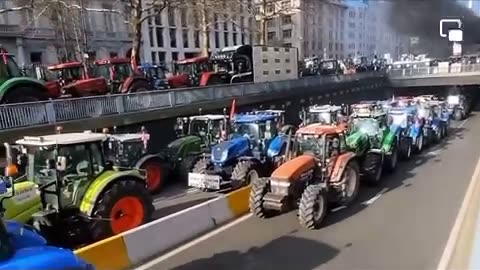 Brussels protest against government nitrogen plan