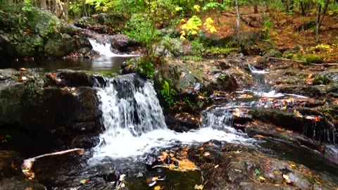 Cascades