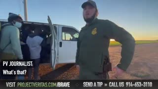 Border Agent Makes STUNNING Admission While Picking Up Migrants