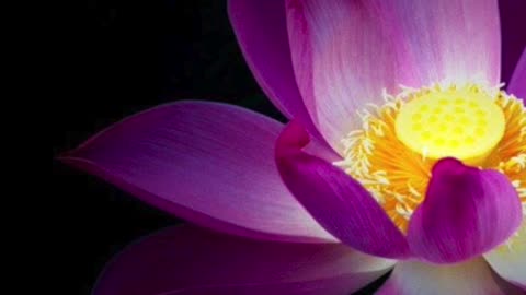 Violet Flame of Limitless Transmutation