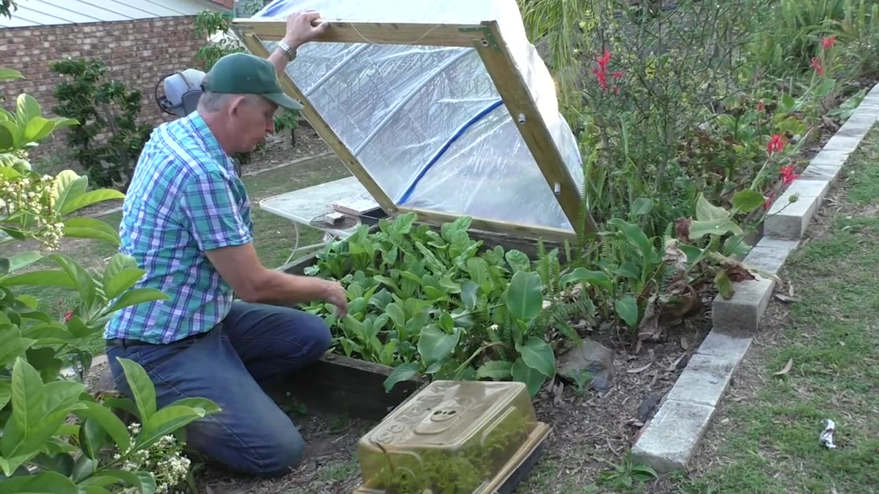 End Time Gardening