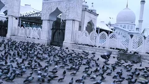 Dargah Hazratbal