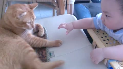 Baby cry when the cat starts to leave(480P).mp4