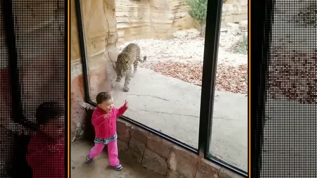 14 second funny video