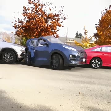 Funny Car Video most watched-LOL