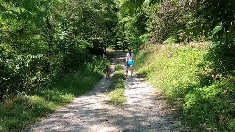 Lovely girl walking 🚶‍♀️With our dog videos