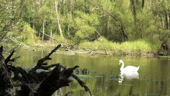 Marais de Pleine Lune - Terre et Vents des 5 Continents