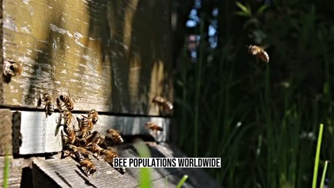 Fascinating Facts About Bees: Their Importance and Role in the Ecosystem