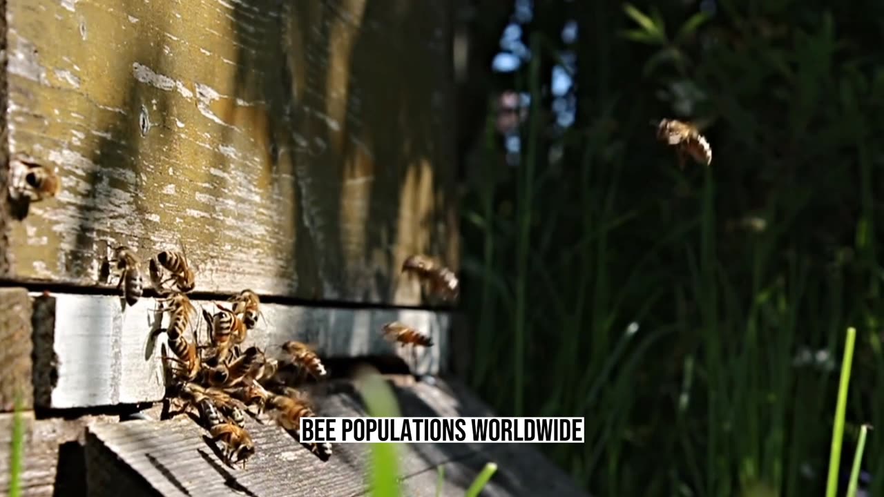 Fascinating Facts About Bees: Their Importance and Role in the Ecosystem