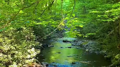 PURE PEACE