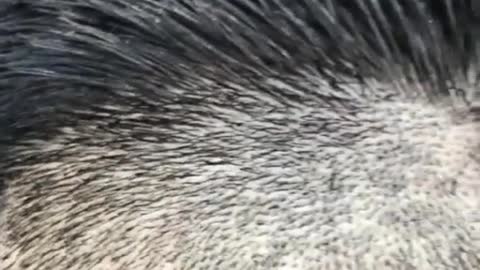 Mesi Hair Cut