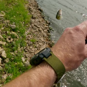 Perfect Timing for Dad Advice Results in Nice Largemouth Bass