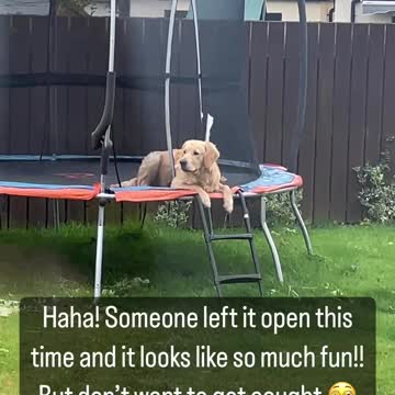 be cool i get the feelin somebody watchin me