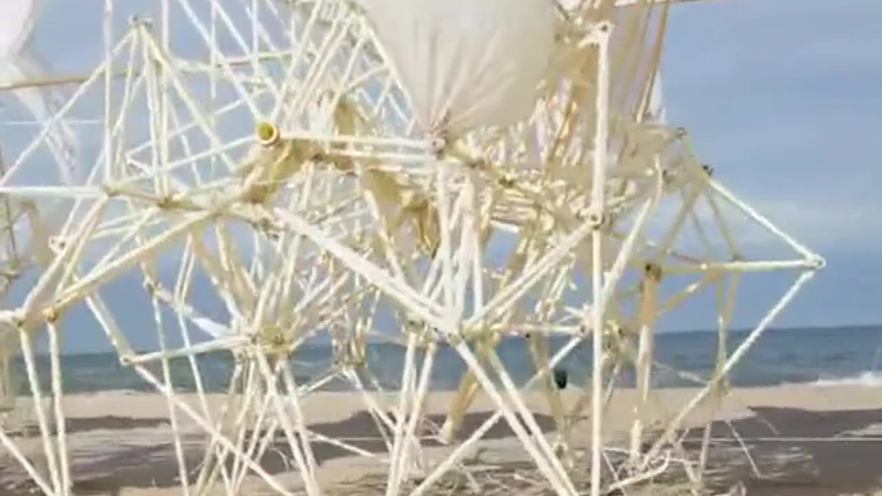 Relaxation video