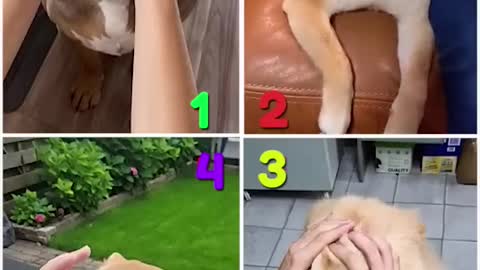 Comment who is the best among them🤗