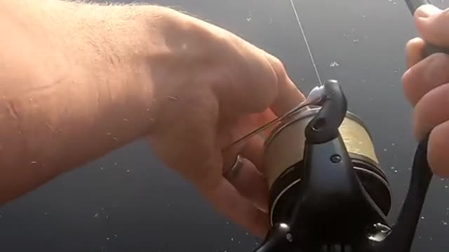 Anyone catch this weekend