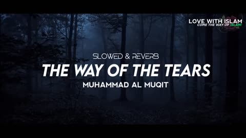 The Way Of The Tears Slowed Nasheed By Muhammad Al Muqit (Slowed + Reverb)