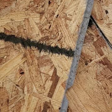 Killing 🕷Spiders before they joined the 🐜 ant army.