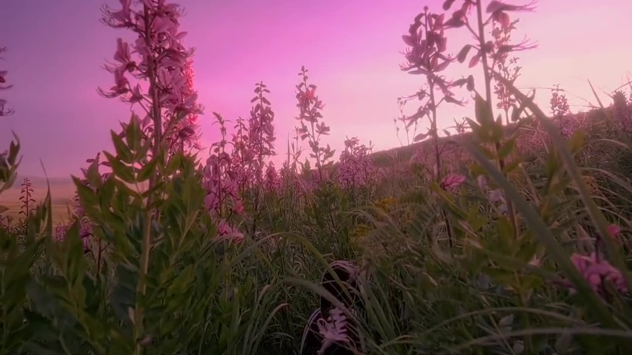 Beautiful place 🤩 || wait for it