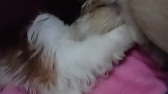 oi fofo 🥰🥰🥰