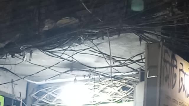 Community Comes Together to Rescue Cat Stuck in Power Lines