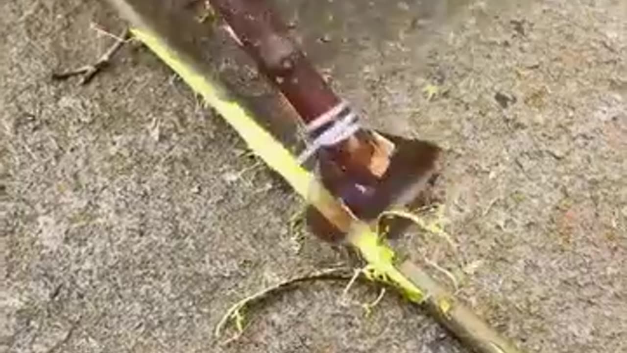 Expert ways to cut things in the wood!