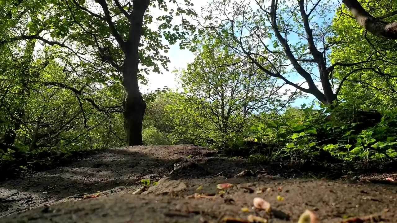 Best MTB Fails Of 2021