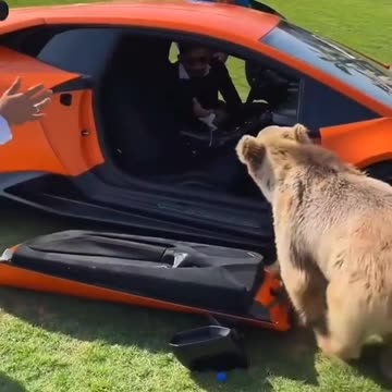 Don't worry about the door it's no biggy