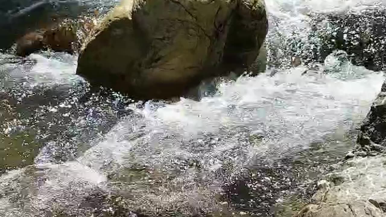 Nature