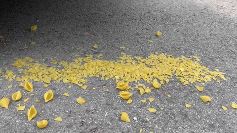 Crushing_Crunchy_&_Soft_things_with_Car_자동차로_바삭_바삭하고_부드러운_것을_분쇄!_실험용_자동차_대_트럭_장난감_콜라_스프라이트_슬라임