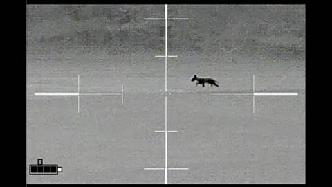 A near miss