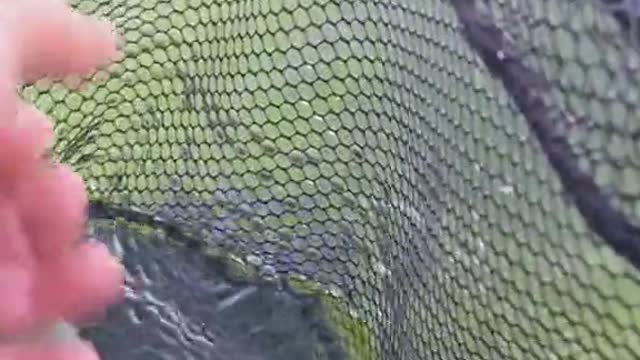 I've been a little MIA lately but excited to show you all something new soon from Angling Legacy
