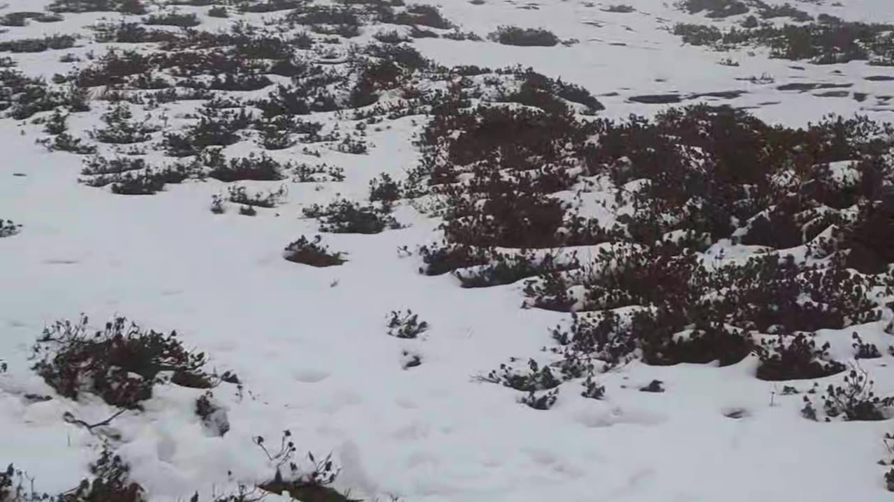 Tungnath track