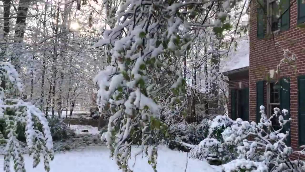 April 21, 2021 - The View From My Front Yard at 8:20 AM