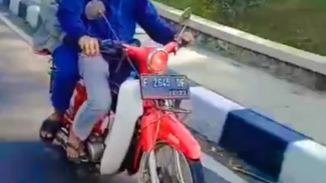 On the way puncak