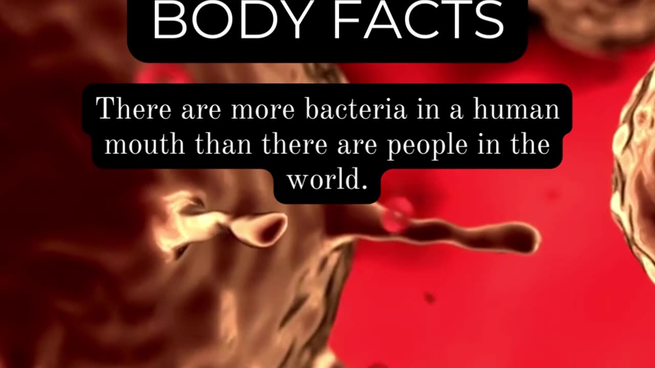 Fascinating Human Body Facts: Things You Never Knew