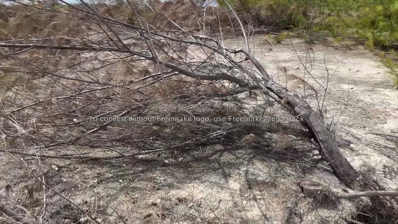 How TO Form US Resident & Non US Resident LLC TURKS & Caicos Trip