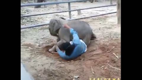 Cute baby elephant sad love 😔😔😔