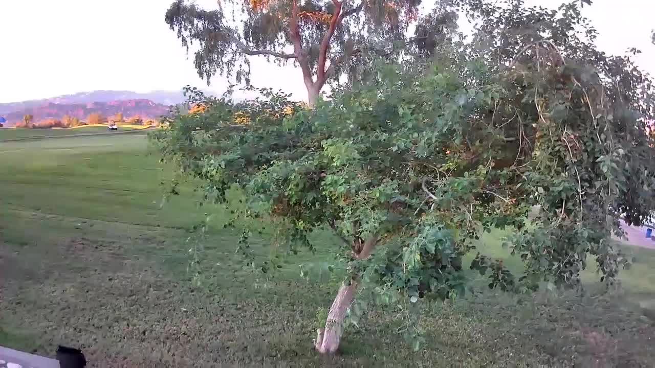 Queens Bay golf course